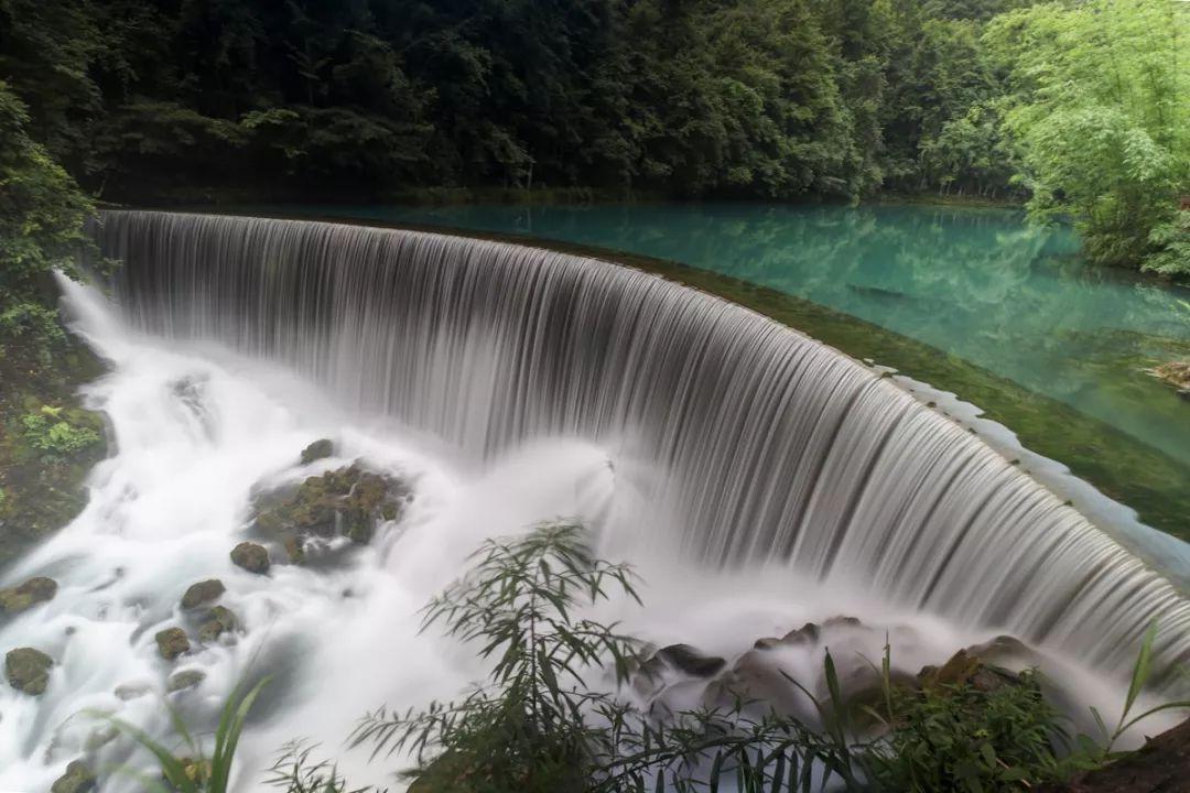 春雨直播app